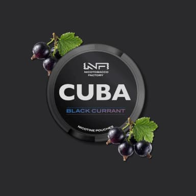 Pouches Black Currant