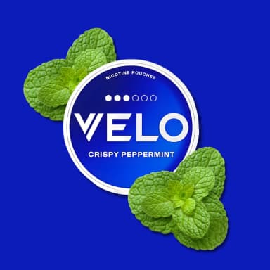 Pouches Crispy Peppermint