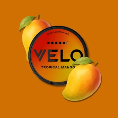 Pouches Tropical Mango